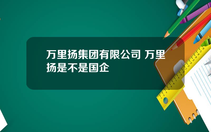 万里扬集团有限公司 万里扬是不是国企